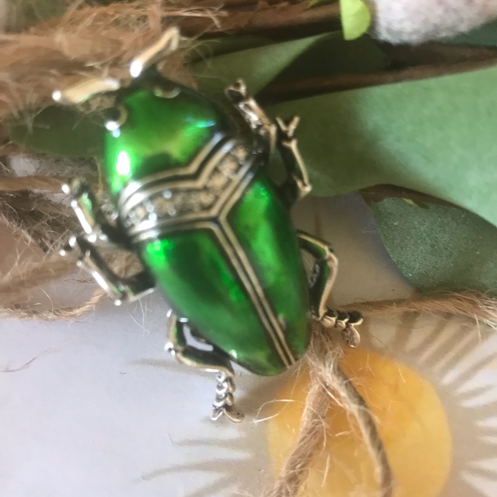 Beetle brooch - Picture 9 of 10